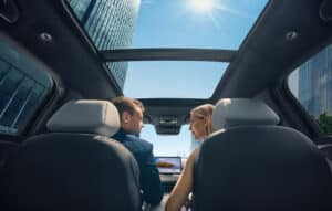 Seal 6 DM-i panoramic