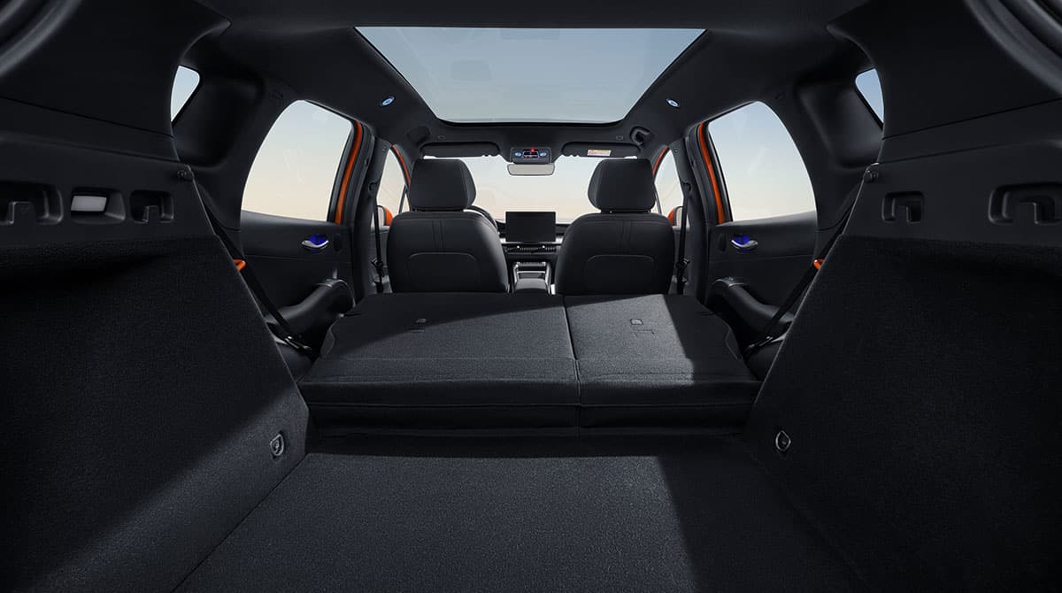 BYD DOLPHIN G DM-i cargo