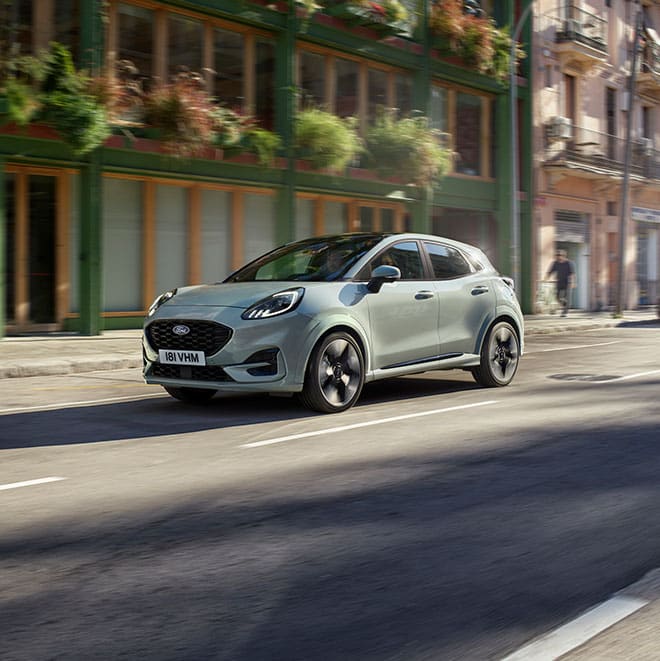 Puma exterior