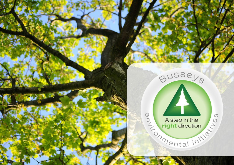 Ford environmental initiatives #8