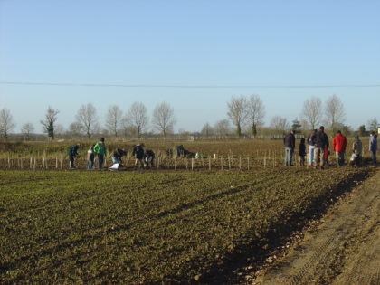 Busseys Tree Planting