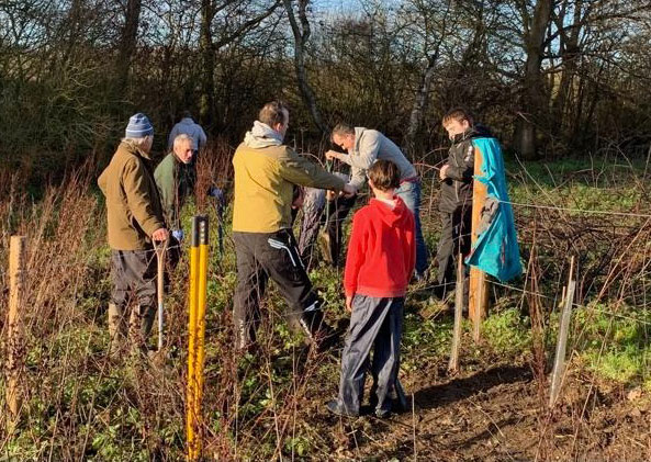 South Norfolk Tree Wardens Planting in Poringland 2023