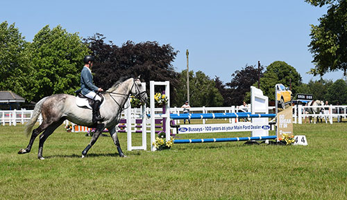 Norfolk Show Jumping-Summer Festival